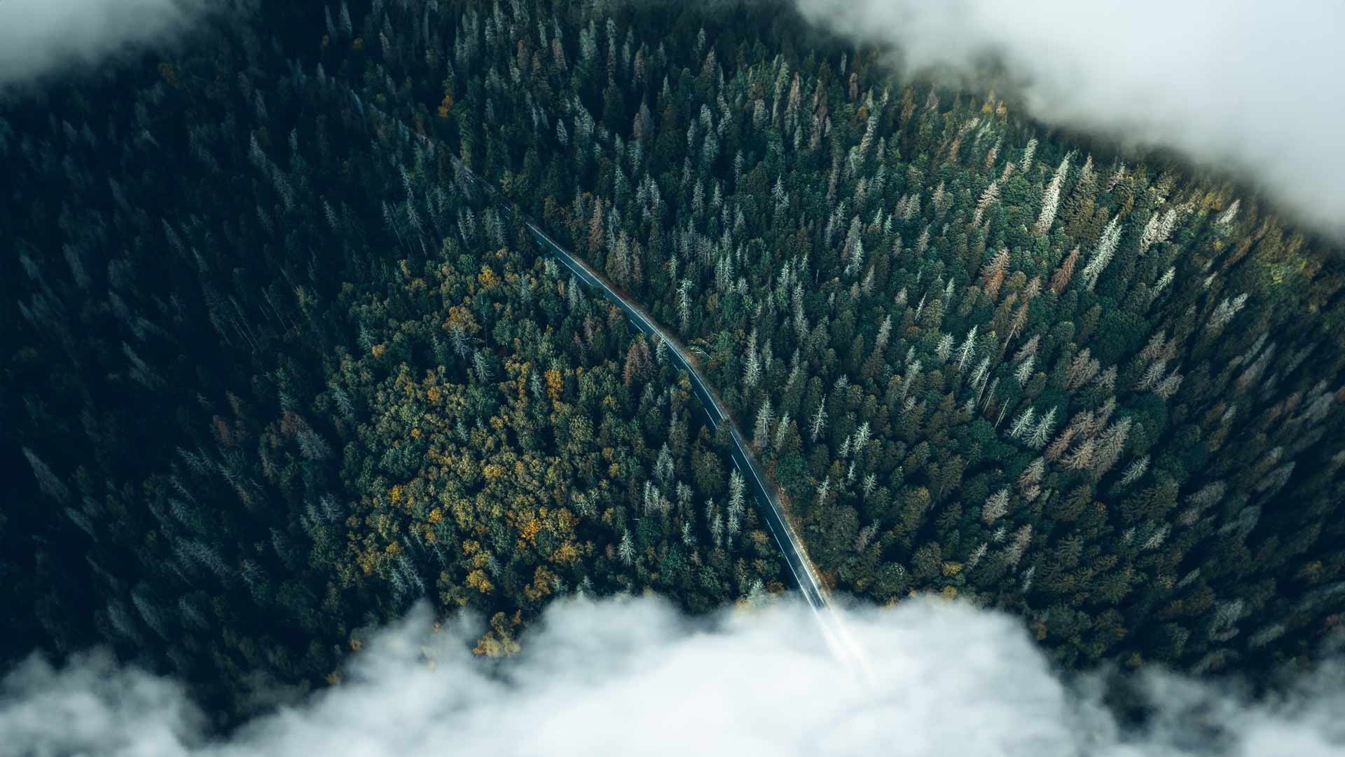 digital-sustainability-training